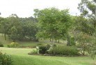 Farringdonresidential-landscaping-40.jpg; ?>
